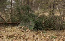 Foxa PES Net 260 verkkokangas, M05 metsäkuvio, metritavara