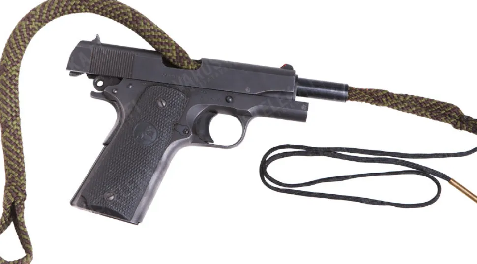 Hoppe's Boresnake