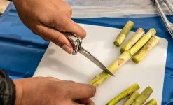 Leatherman Curl monitoimityökalu