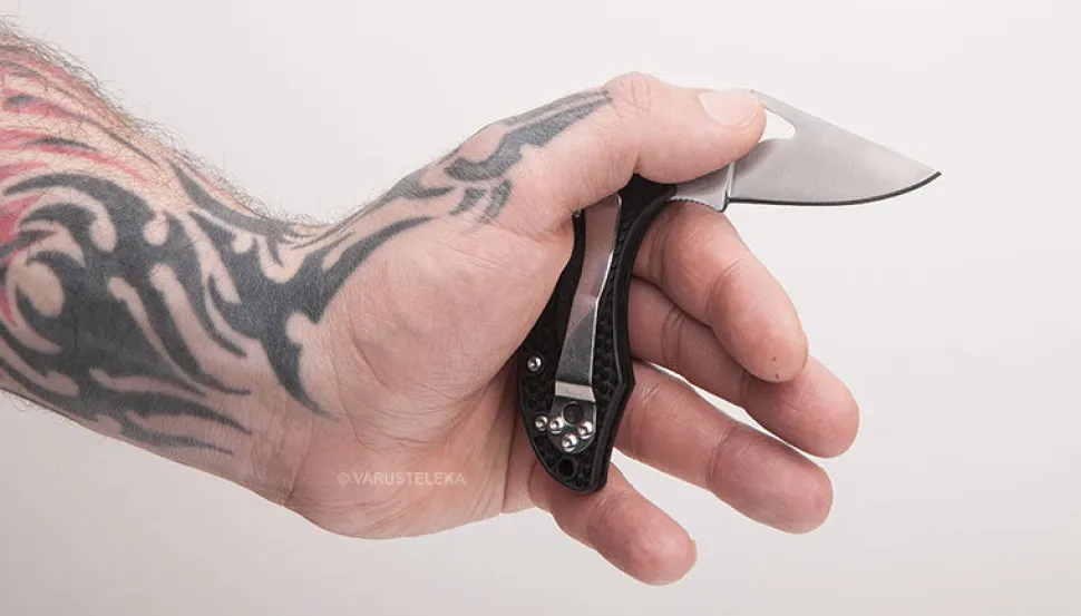 Spyderco Byrd Robin 2 taittoveitsi