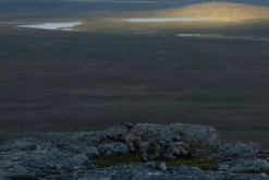 Särmä TST L4 Kenttätakki (Vanha versio)