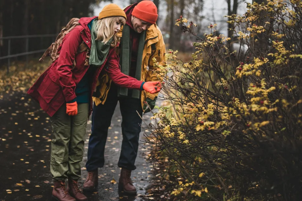 Särmä Windproof Parka