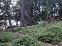 Varusteleka laavukangas