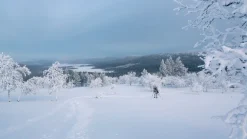 Varusteleka L5 partiohaalari